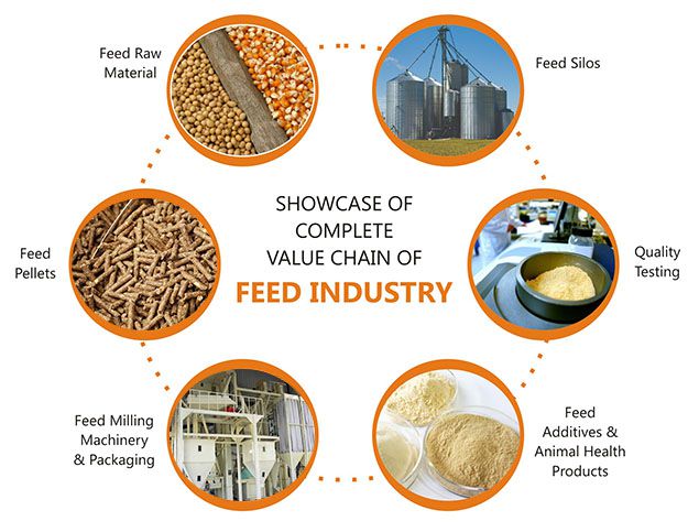 Setting Up an Animal Feed Manufacturing Company in Chile [Business Plan]