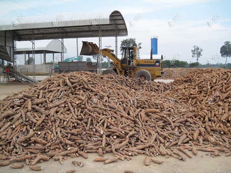 Cassava Raw Materials
