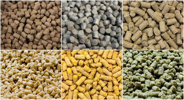 600-1000kg-hour-small-feed-pellet-mill-plant-for-cattle-and-poultry