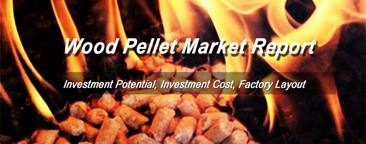 Huge Investment Potential for Wood Pellet Production Business