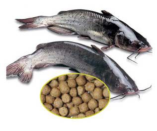 make catfish feed pellets