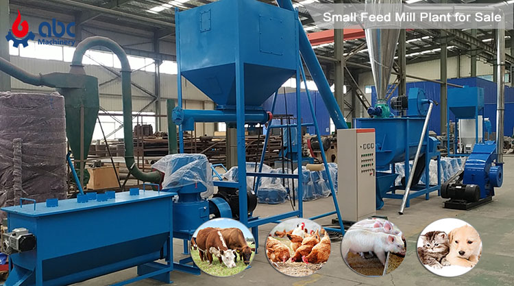 How to Set Up a Chicken Feed Pellelt Manufacturing Plant Processing Business?