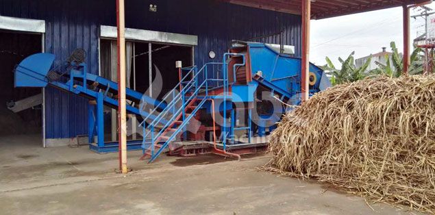 Elephant Grass Pellet Mill Turn Waste into Treasure
