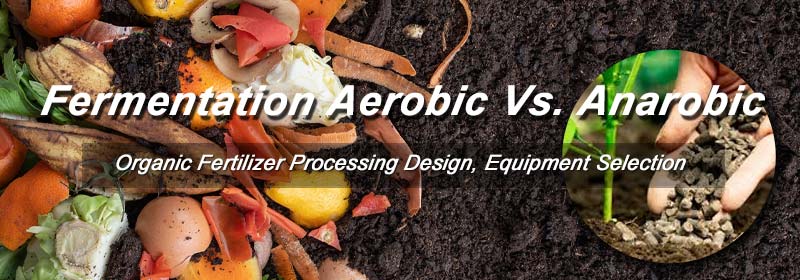 Is Fermentation Process Aerobic or Anarobic?