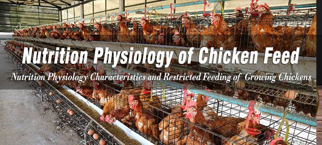 Nutrition Physiology and Restricted Feeding of Growing Chickens