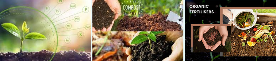 Ultimate Guide to Organic Fertilizer Process